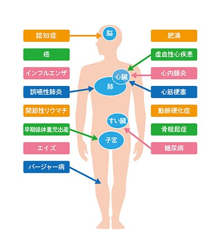 歯周病は全身の健康にも関係しています